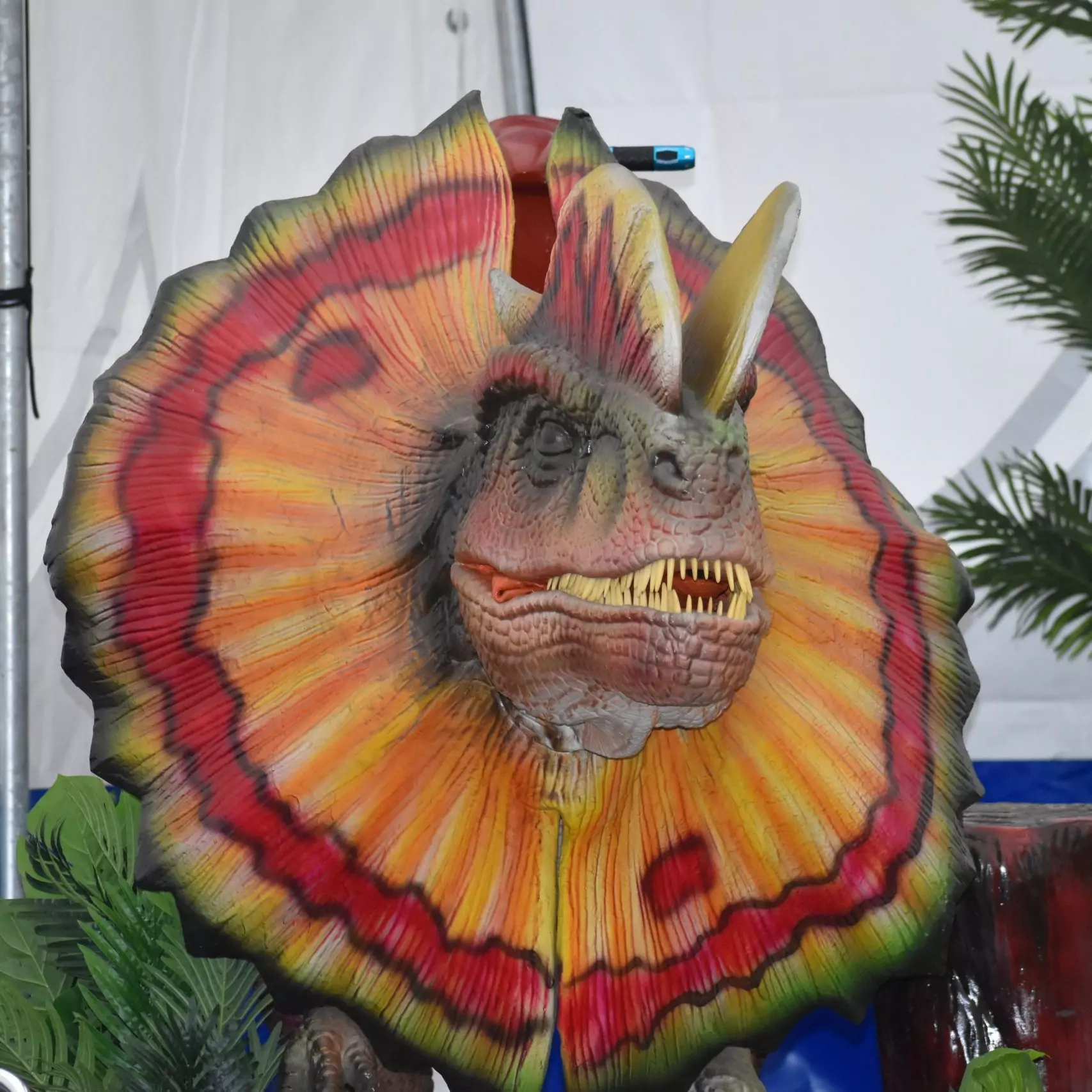 Bild von einem Dinosaurier auf den man reiten Kann