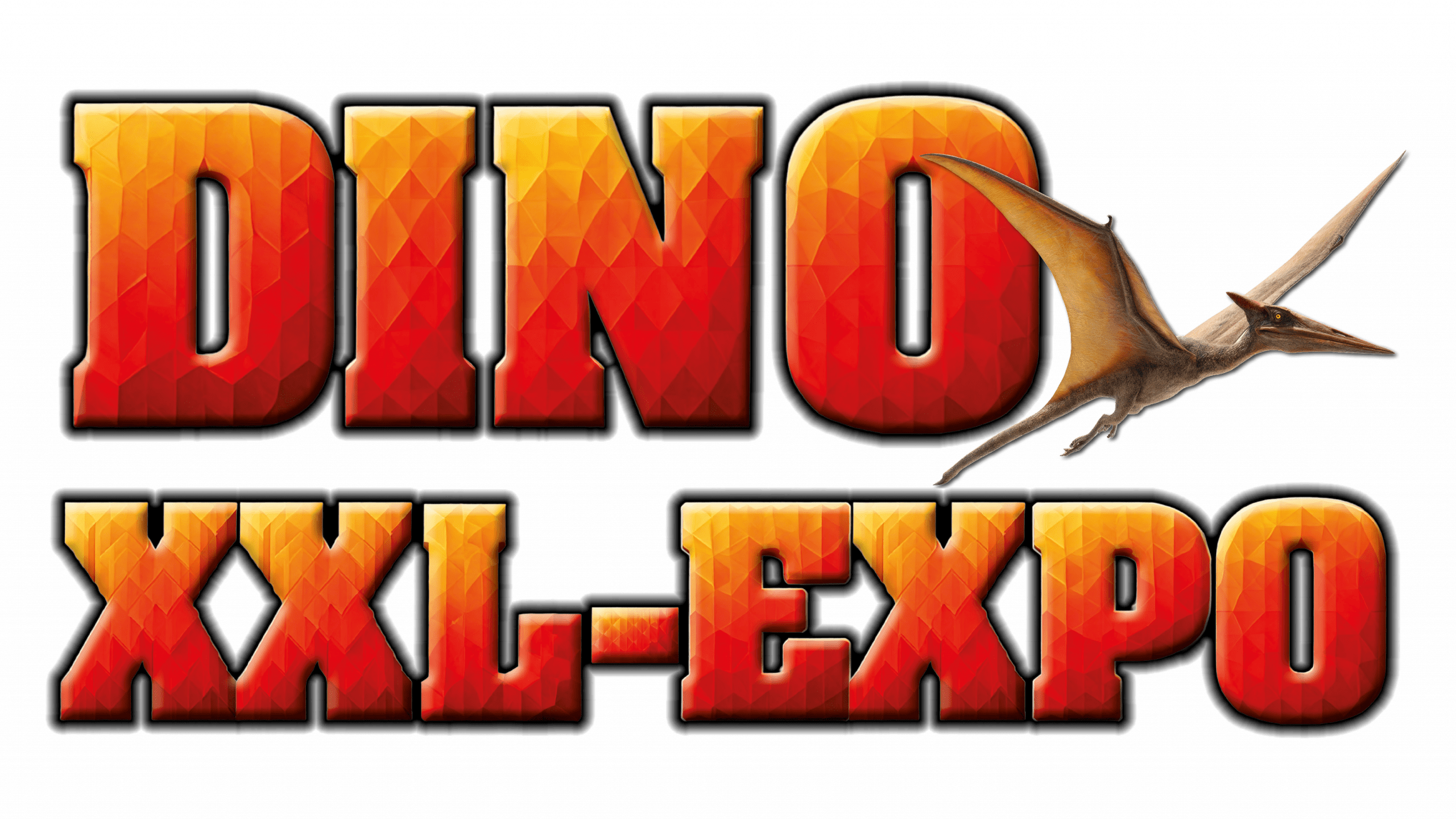 DINO XXL Logo 1 scaled