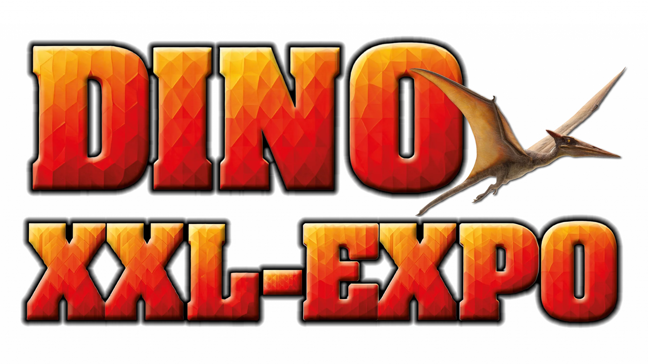 DINO XXL Logo 1 scaled